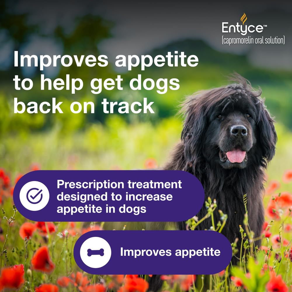 Dog Appetite Stimulant Oral Solution 30mg/ml 10 ml M510