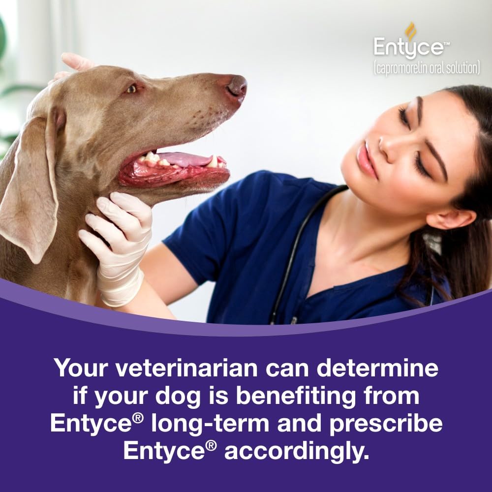 Dog Appetite Stimulant Oral Solution 30mg/ml 10 ml M510