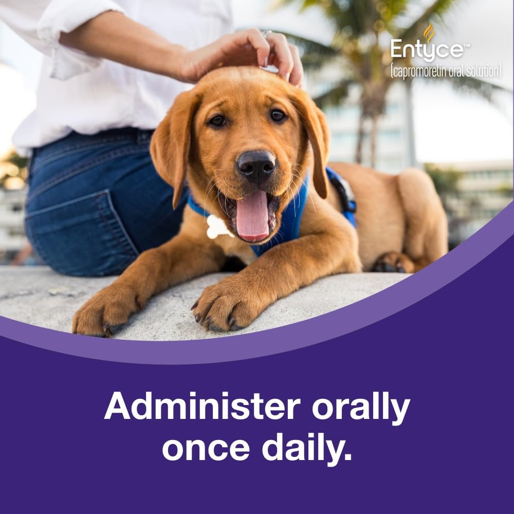 Dog Appetite Stimulant Oral Solution 30mg/ml 10 ml M510
