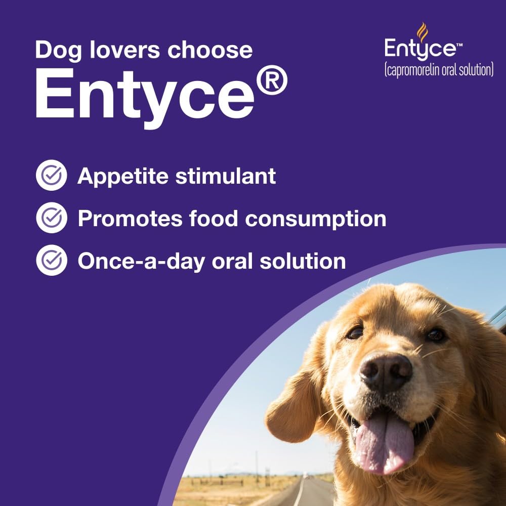 Dog Appetite Stimulant Oral Solution 30mg/ml 10 ml M510