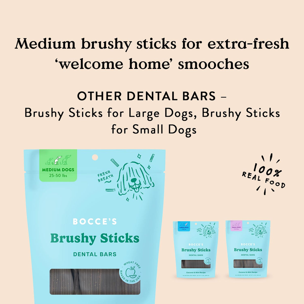 Dog Dental Treats 13 oz G417524