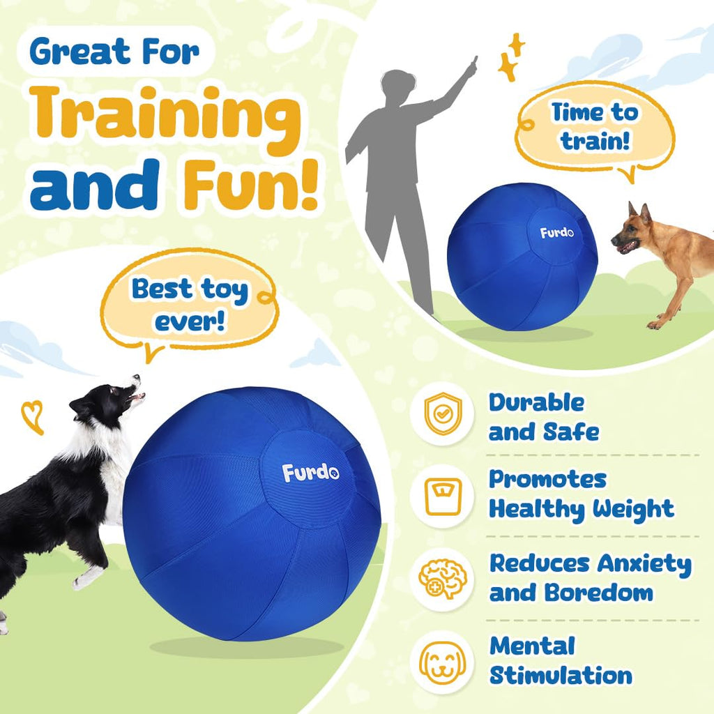 25" Herding Ball for Dogs C594789
