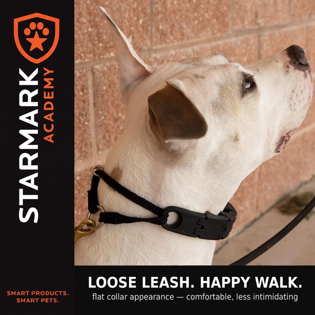 Large No-Pull Dog Collar Y282