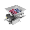 110V 60W 4L Stainless Steel Electric Fruit Crusher L606