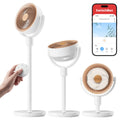 Rechargeable Oscillating Standing Fan L561