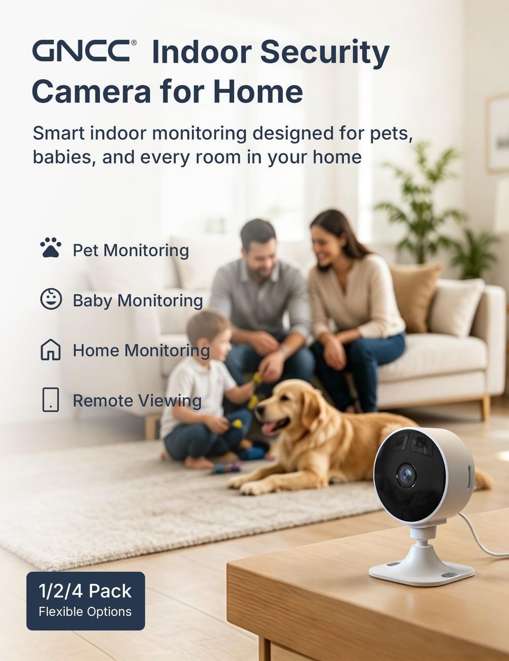 2.4GHz Indoor Security Camera 1080P 2-Pack P9408