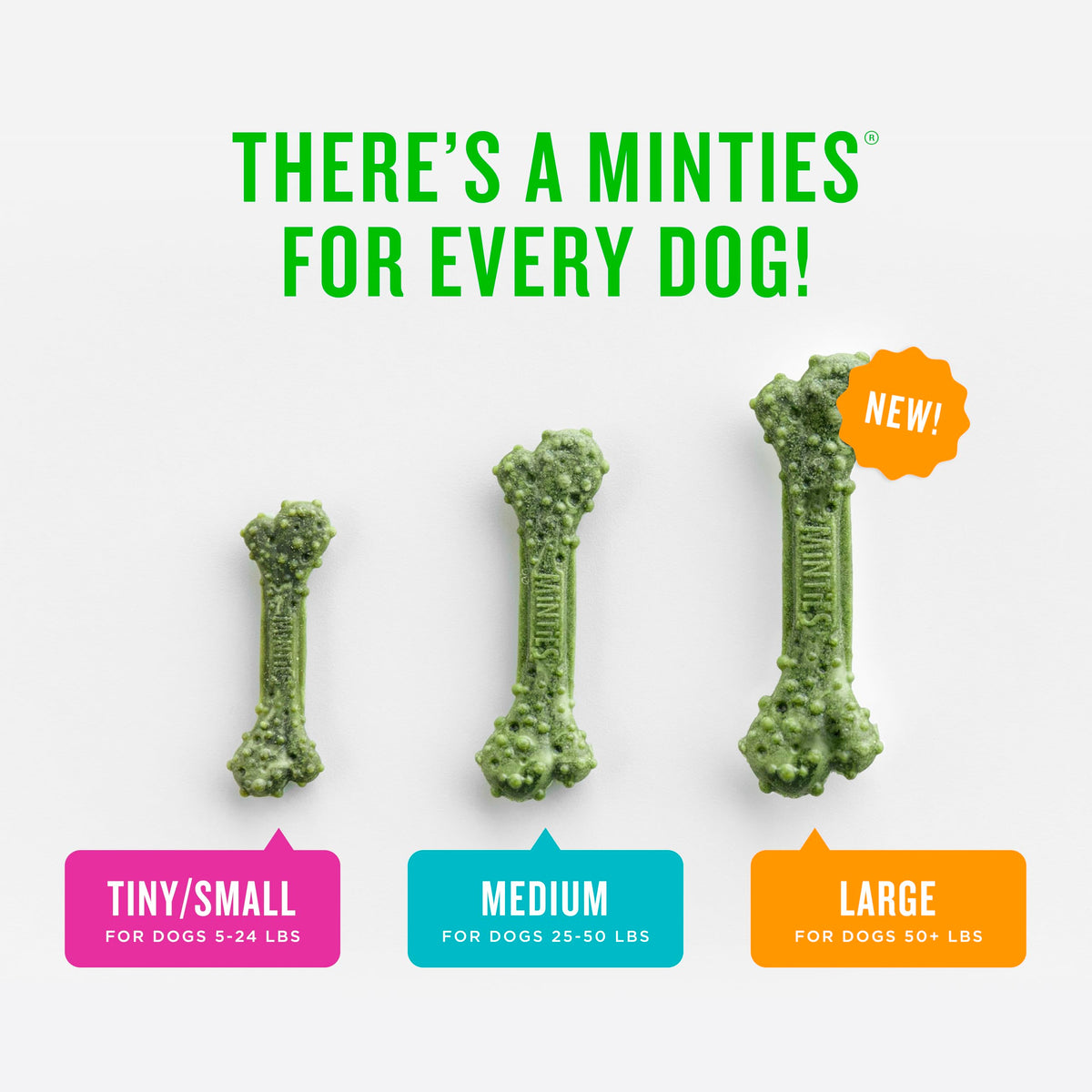 Mint Dental Chews for Dogs, 40 Ct O758811