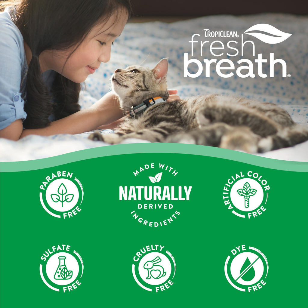Cat Toothbrush and Toothpaste Kit J6578
