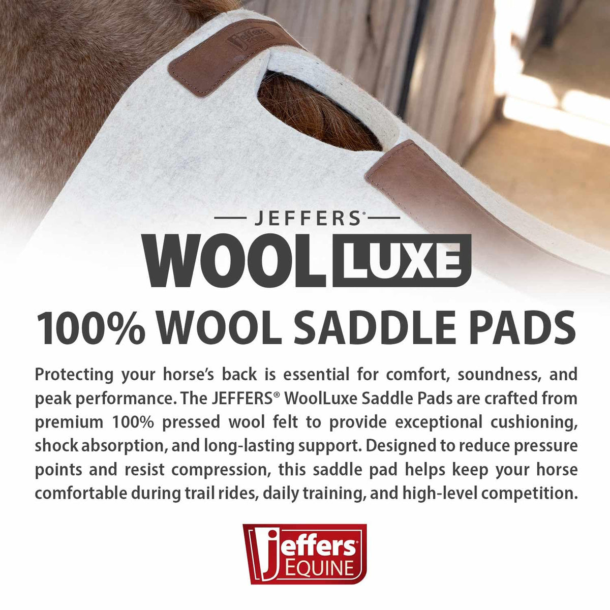 100% Wool Felt Saddle Pad V897716