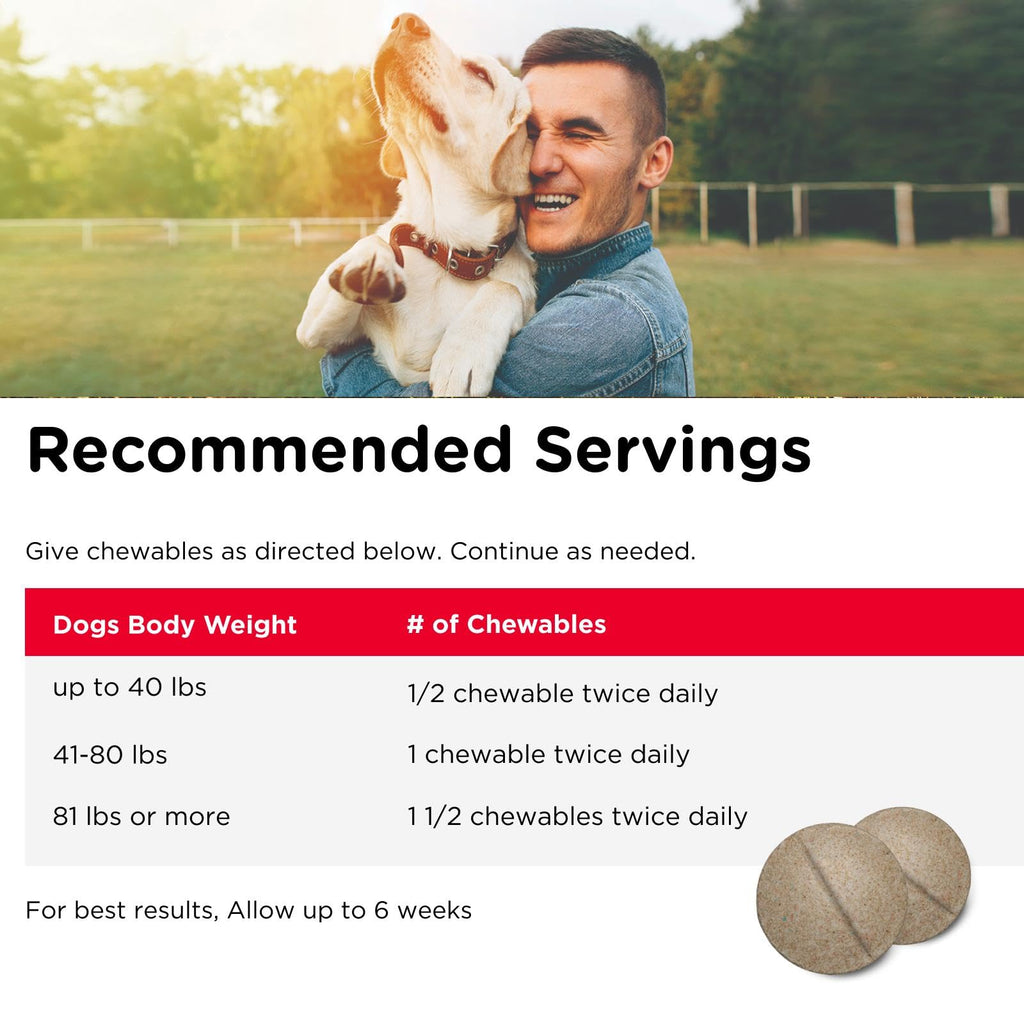 Glucosamine Chondroitin Dog Supplement 150 Ct Z554
