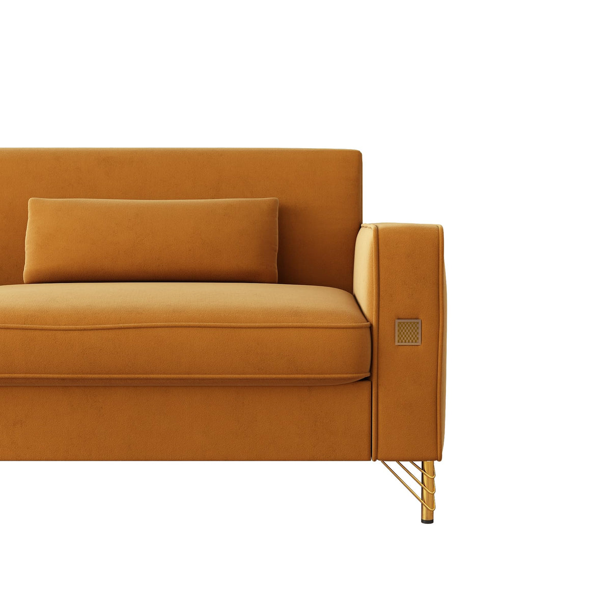 Oversized Velvet Sofa with Armrest and Removable Cushions P165670