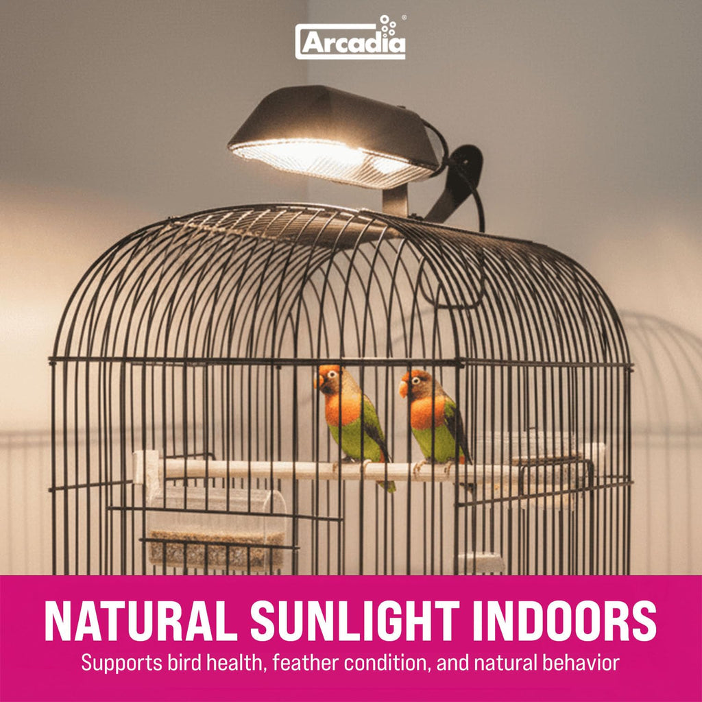Compact Bird Lighting Kit 20 Watts 2.4% UVB Full Spectrum Light Fixture F1798