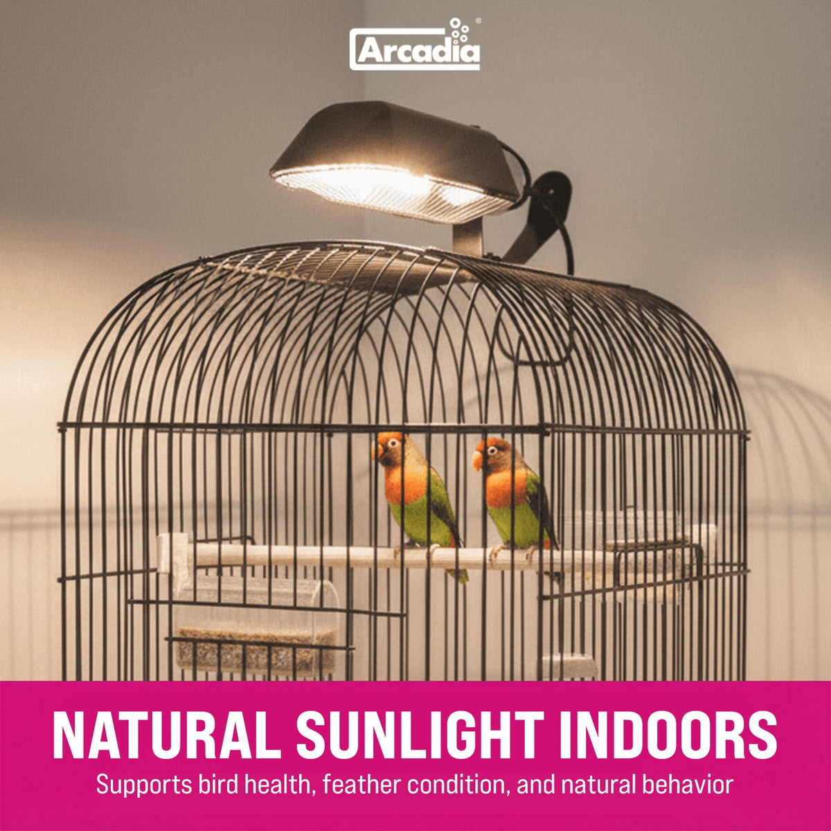 Compact Bird Lighting Kit 20 Watts 2.4% UVB Full Spectrum Light Fixture F1798