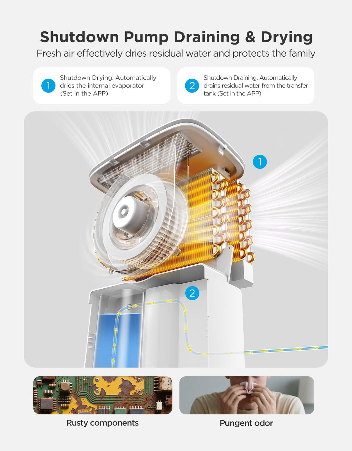 Dehumidifier with WiFi C403186