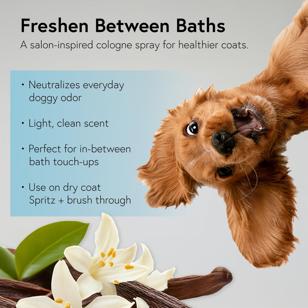 Manuka Honey & Vanilla Dog Cologne Spray 8oz H504