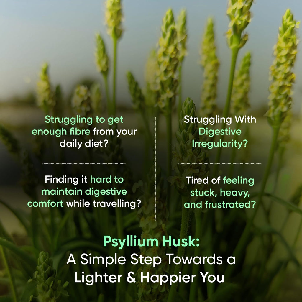 Psyllium Husk Capsules 1500mg N61108