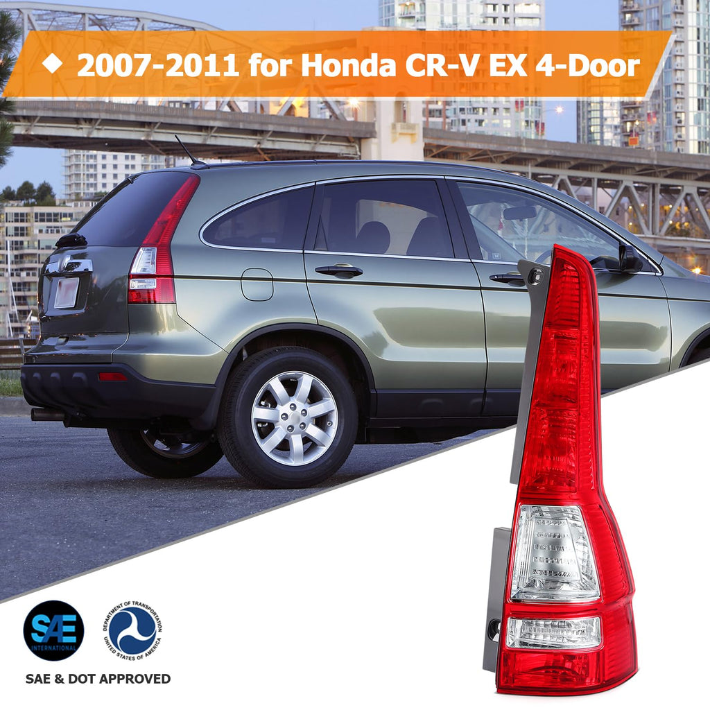 Tail Light Assembly I1375