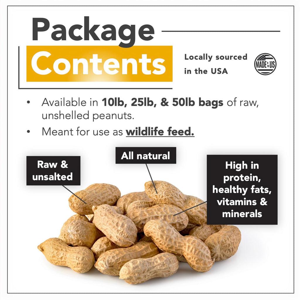 Raw Peanuts 25 LBS P178197