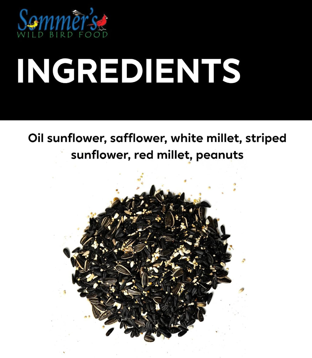 Wild Bird Seed 20 lb Sunflower Blend R88255