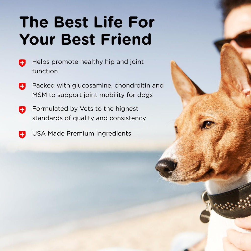 Glucosamine Chondroitin Dog Supplement 150 Ct Z554