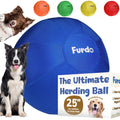 25" Herding Ball for Dogs C594789