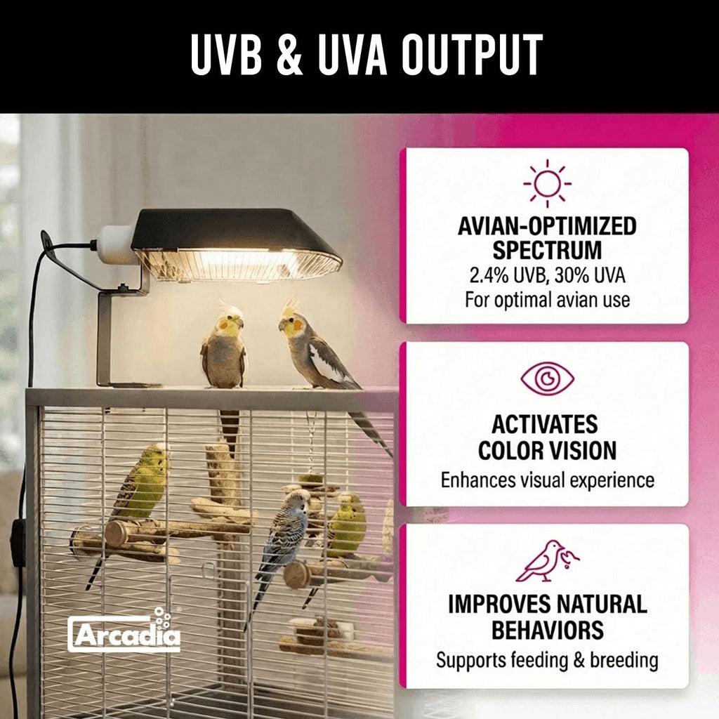 Compact Bird Lighting Kit 20 Watts 2.4% UVB Full Spectrum Light Fixture F1798