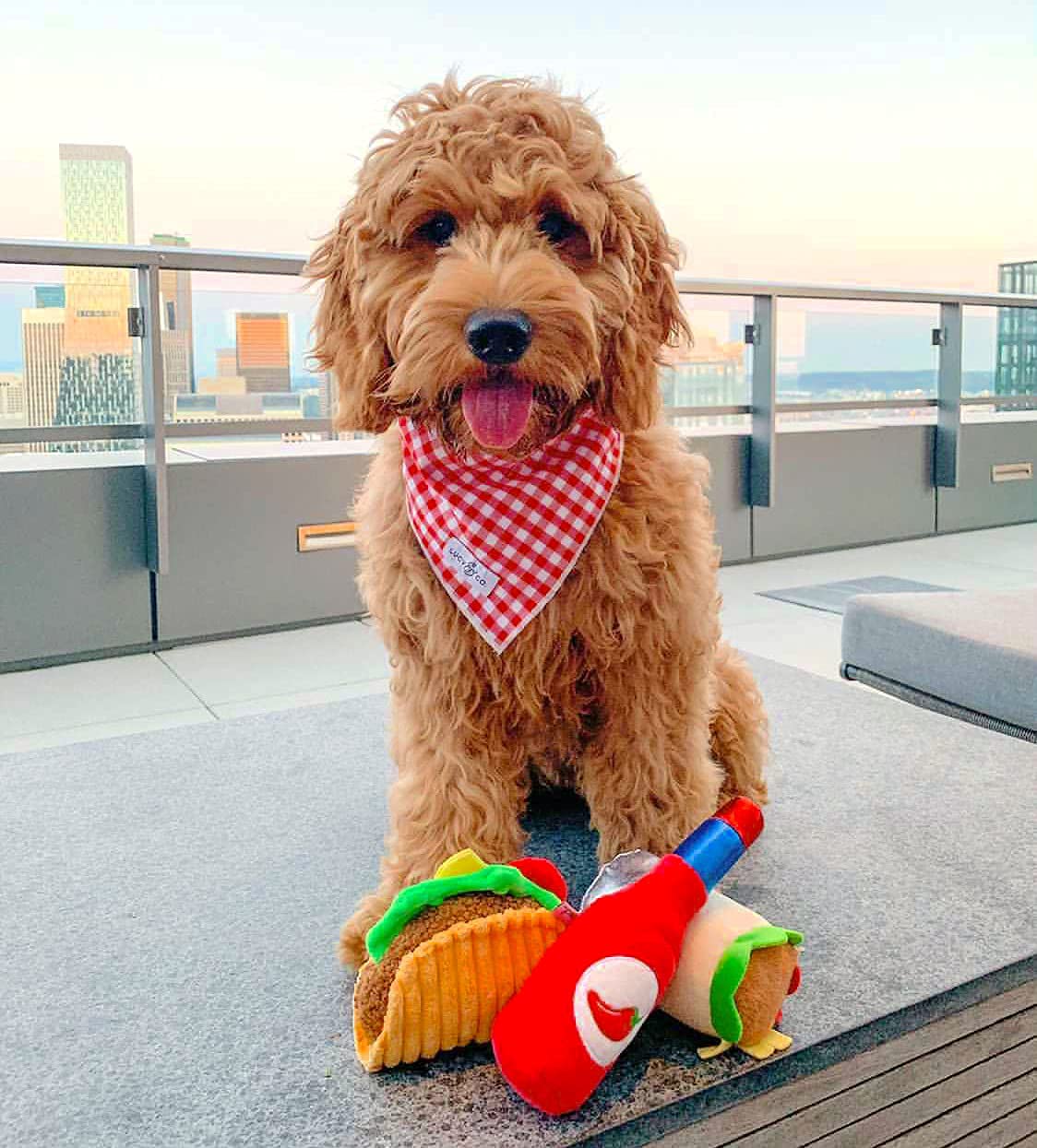 Plush Dog Toys W58903