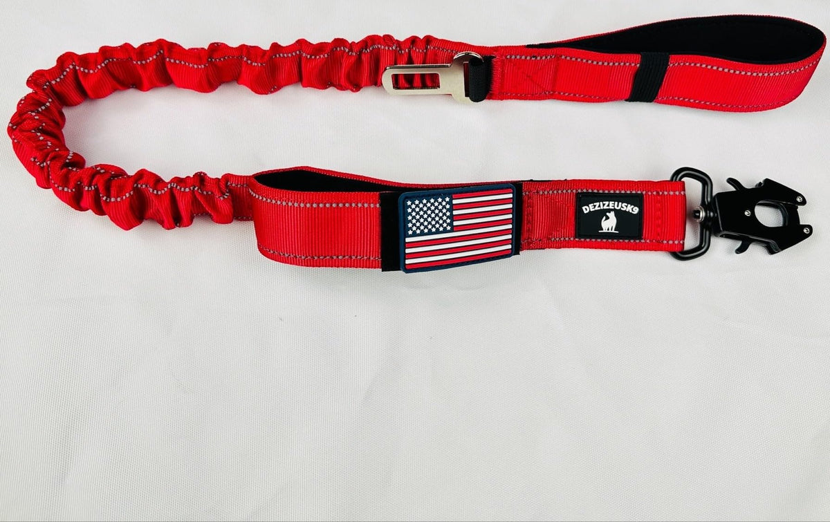 Heavy Duty Shock Absorbing Bungee Dog Leash E37608