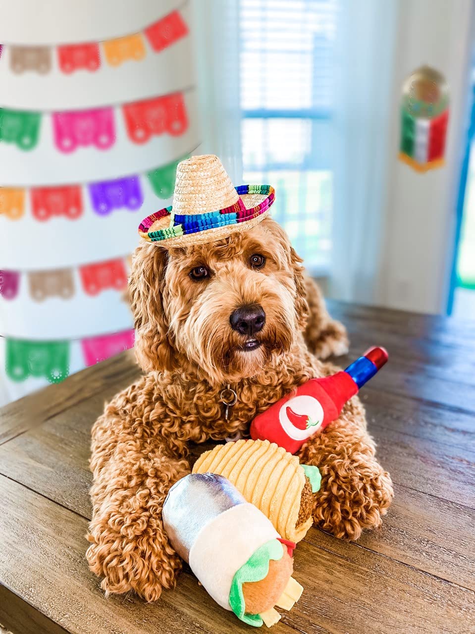 Plush Dog Toys W58903