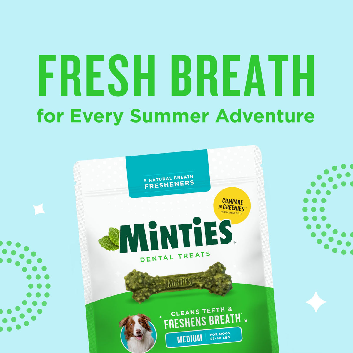 Mint Dental Chews for Dogs, 40 Ct O758811