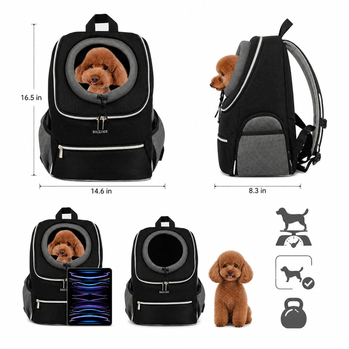 Black Dog Carrier Backpack V391