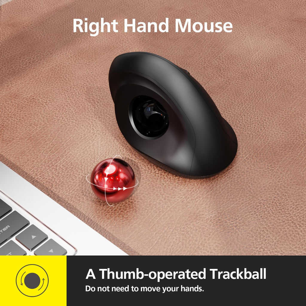Wireless Ergonomic Trackball Mouse, 3 Adjustable DPI, Black V131