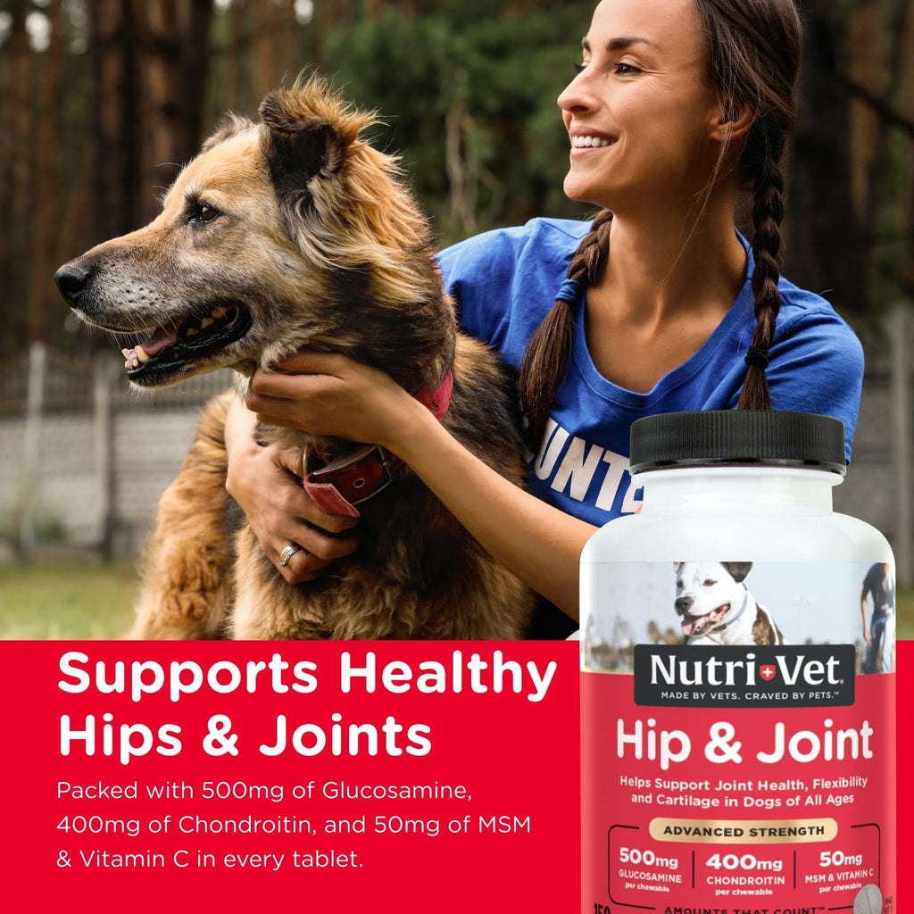 Glucosamine Chondroitin Dog Supplement 150 Ct Z554