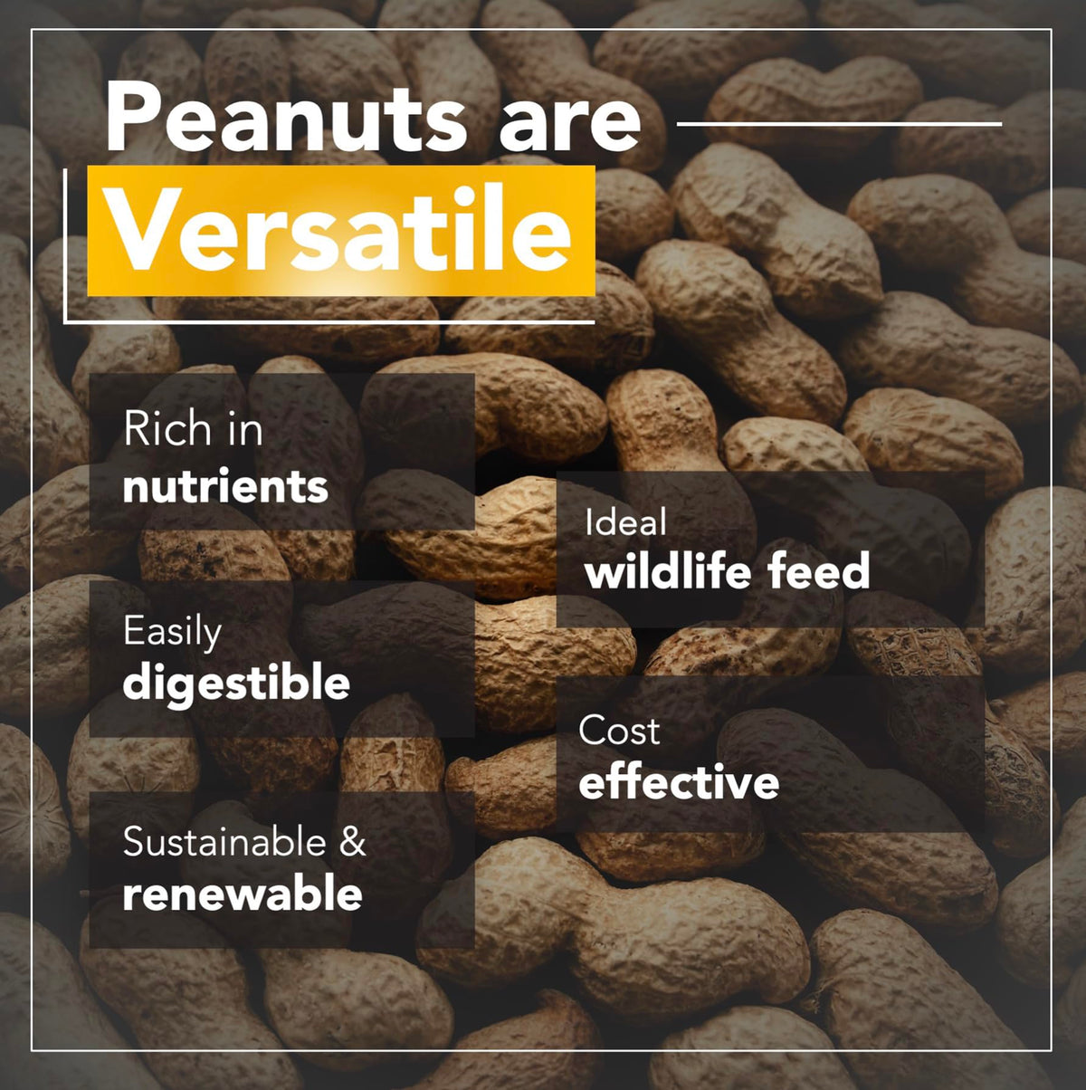 Raw Peanuts 25 LBS P178197