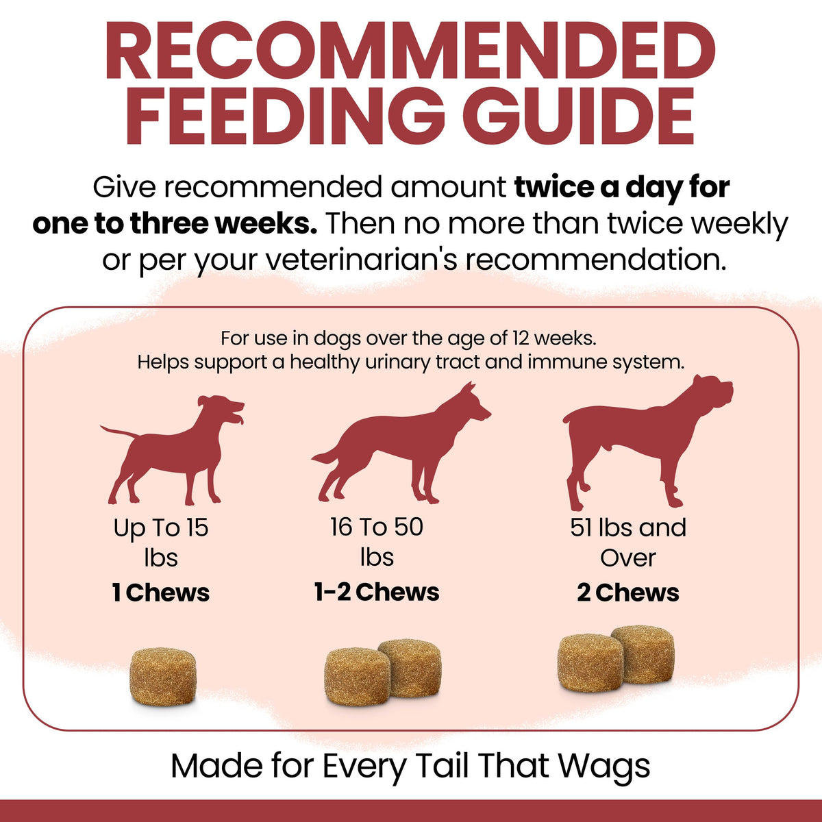 Cranberry Supplement for Dogs, 240 Soft Chews C52400