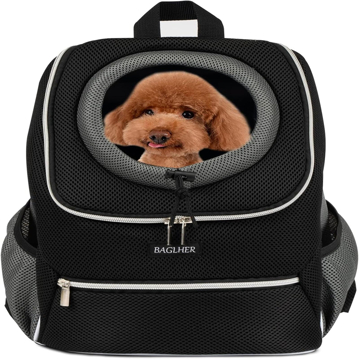 Black Dog Carrier Backpack V391