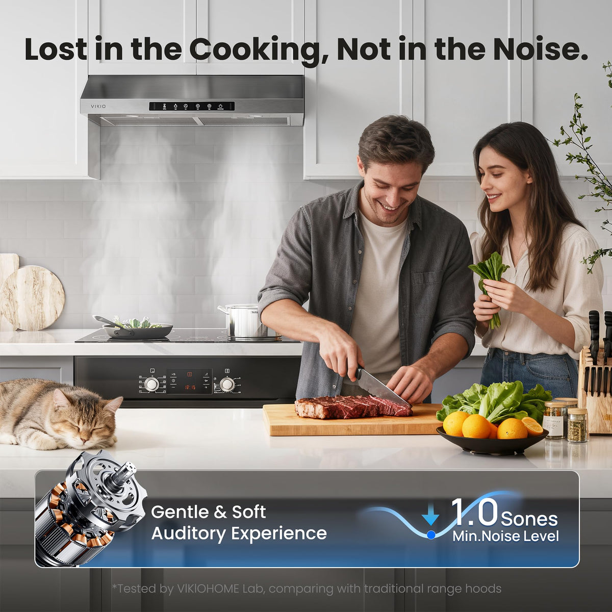 30 Inch Under Cabinet Range Hood 900 CFM Dual Motor X239