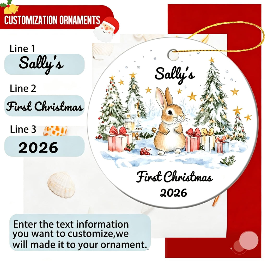 Baby First Christmas Ornament 2026 W303348