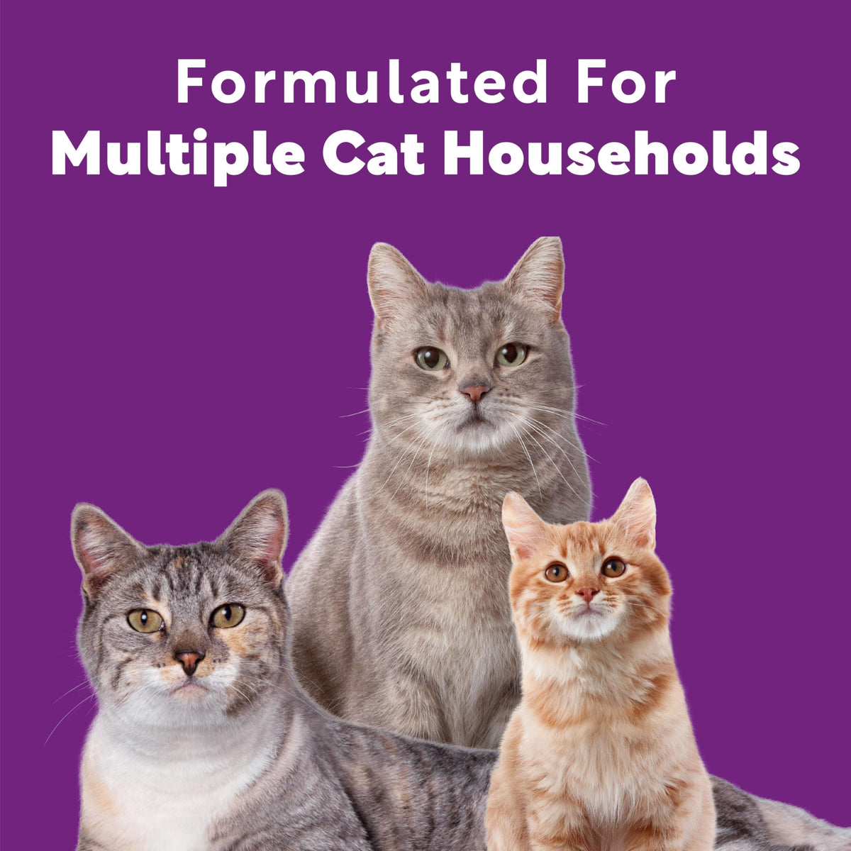 Multi Cat Clumping Cat Litter 18.5lb 2Pk X70060