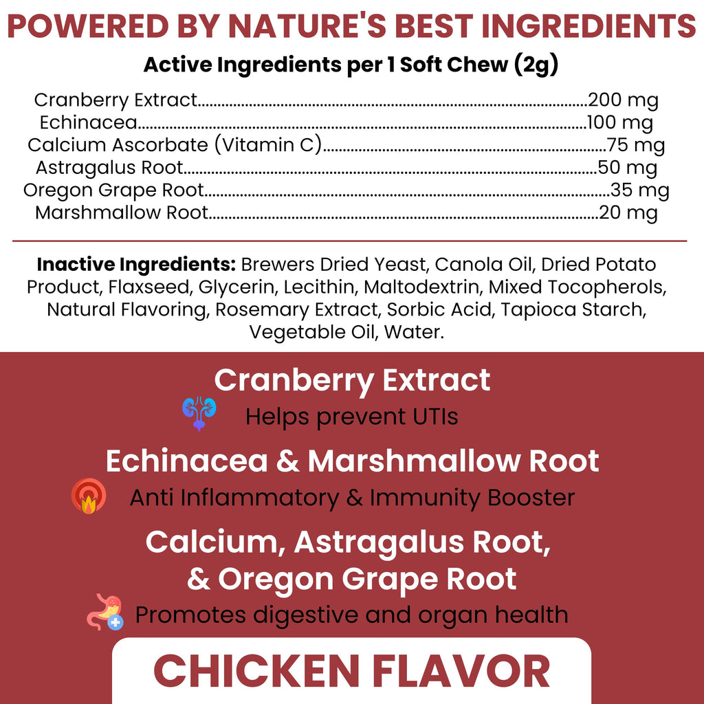 Cranberry Supplement for Dogs, 240 Soft Chews C52400