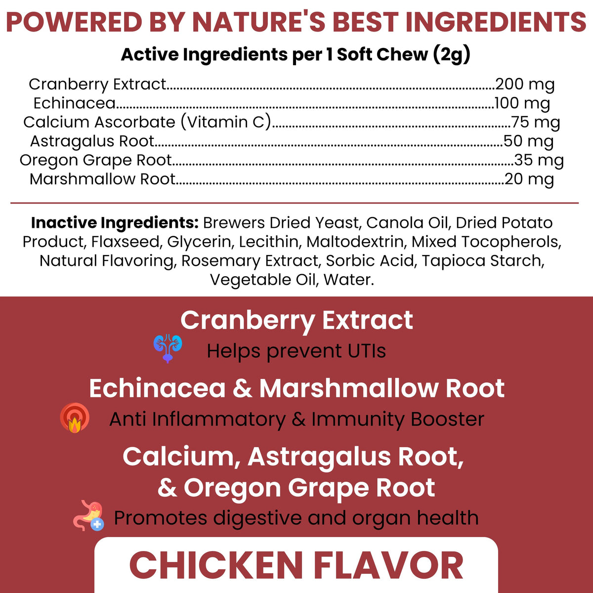 Cranberry Supplement for Dogs, 240 Soft Chews C52400