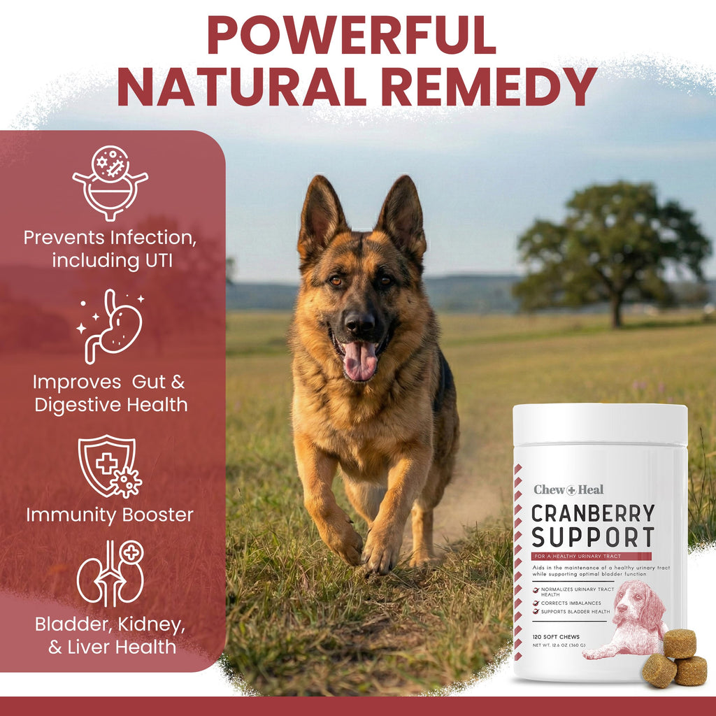 Cranberry Supplement for Dogs, 240 Soft Chews C52400